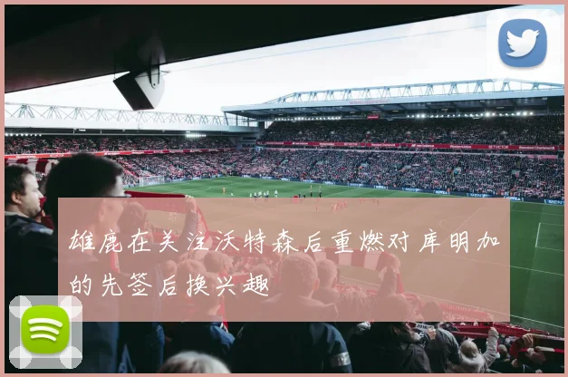 雄鹿在关注沃特森后重燃对库明加的先签后换兴趣